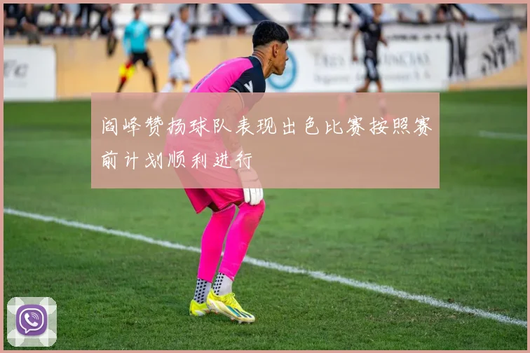 阎峰赞扬球队表现出色比赛按照赛前计划顺利进行