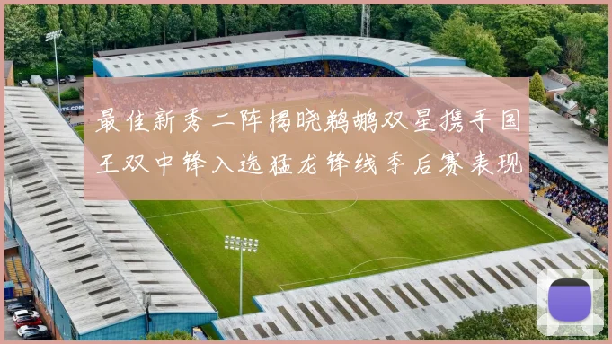 最佳新秀二阵揭晓鹈鹕双星携手国王双中锋入选猛龙锋线季后赛表现抢眼